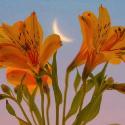 画笔冲冲冲游戏(暂未上线)v1.0 安卓版