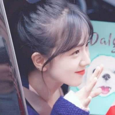 美人如画将无双内购破解版下载